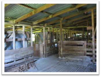 Title: Main Estate Woolshed - Interior